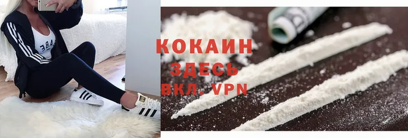 Cocaine Эквадор  МЕГА   Бабушкин 